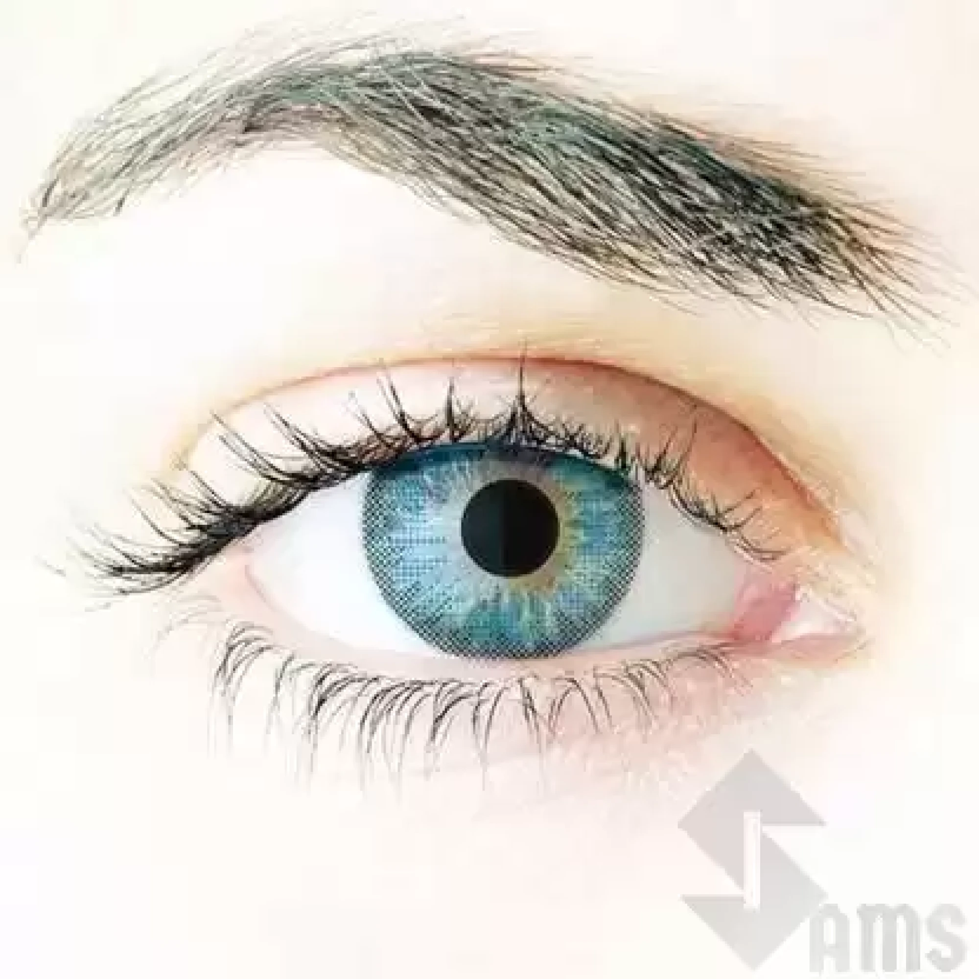 Freshlook Contact Lenses blue1.webp